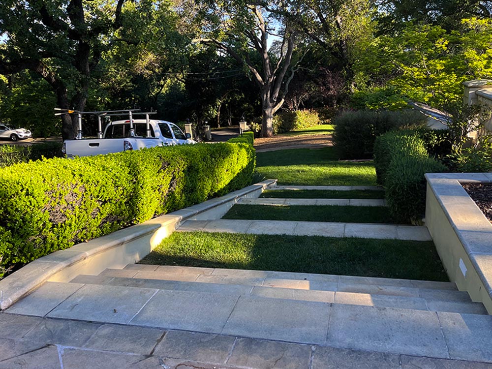 Professional garden  care for large estates and homes with over 30 years of experience.