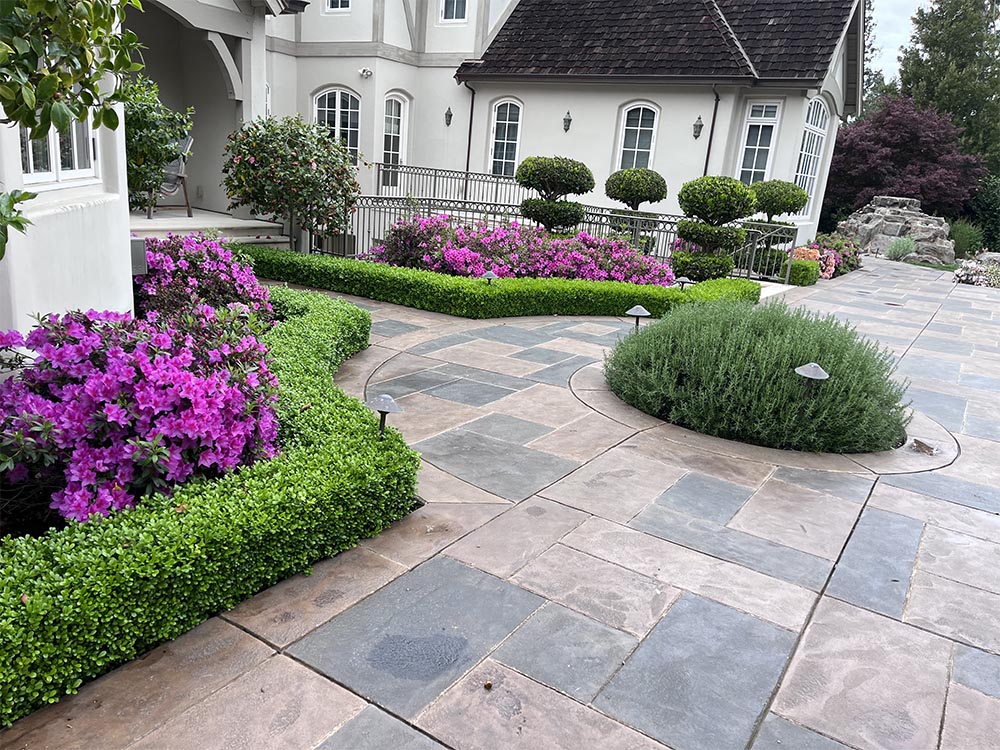 We take care and upgrade your gardens, plants, and trees for a beautiful landscape.