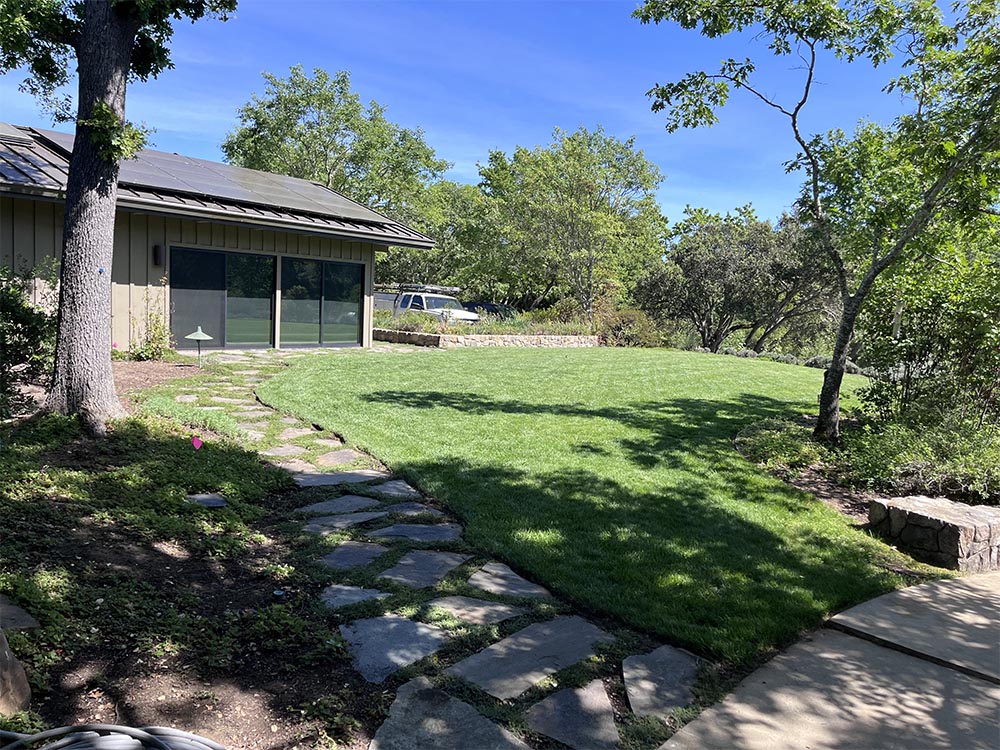 We maintain, take care and upgrade your lawn .