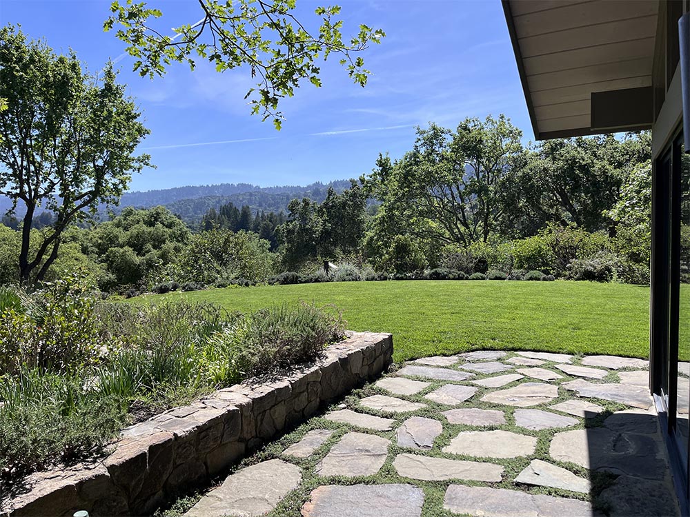Garden and trees care for estates properties, Woodside